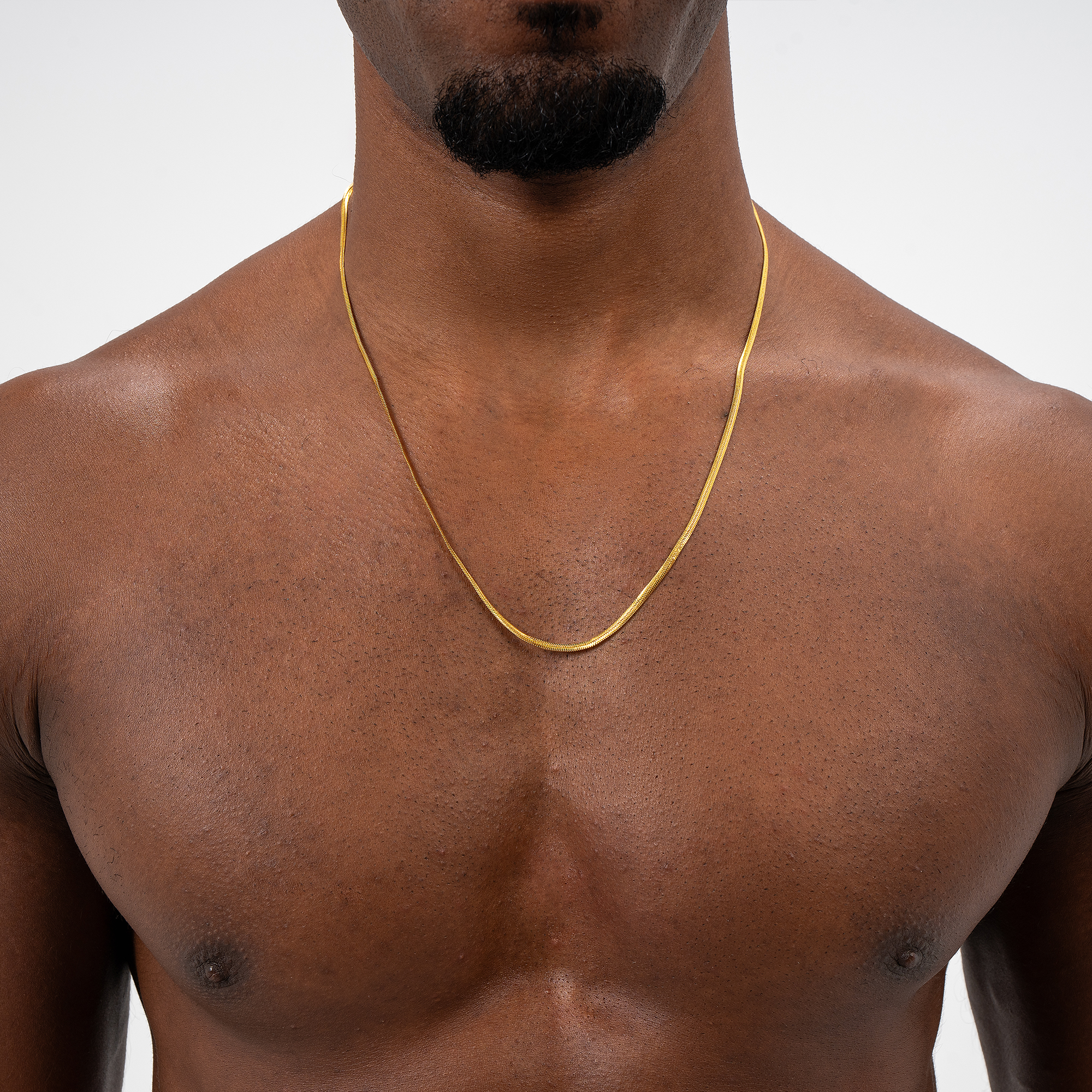 Everyday Gold Necklace